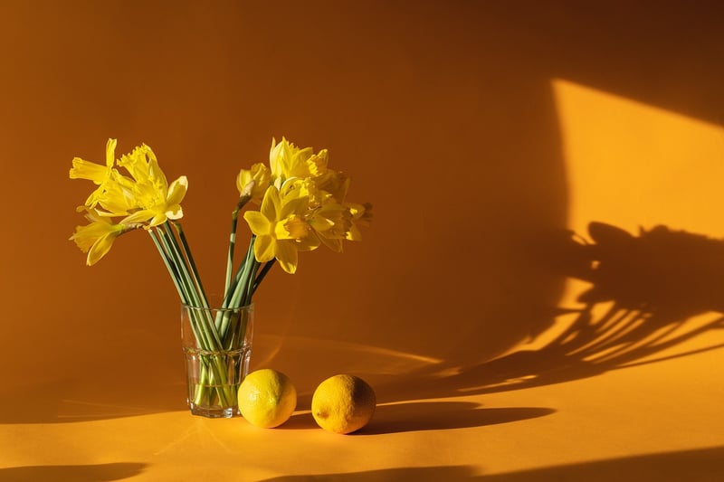 Home Decor Inspiration